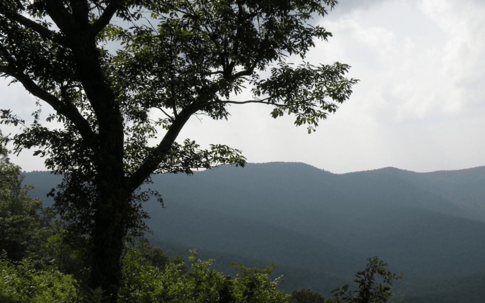 A Guide to Blue Ridge, GA Parks | Blog | Kim Knutzen
