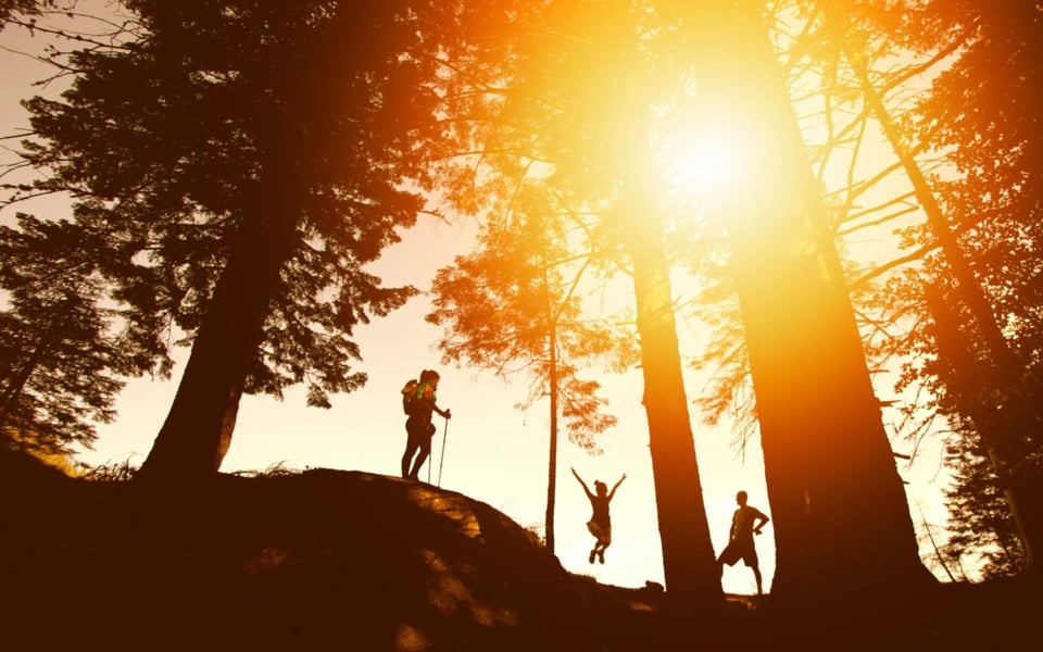 Hiking in the Hamptons: Best Scenic Trails & Tips Guide
