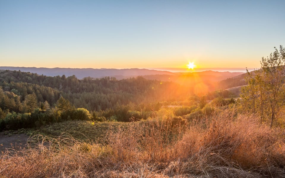 Angwin hillside sunset views