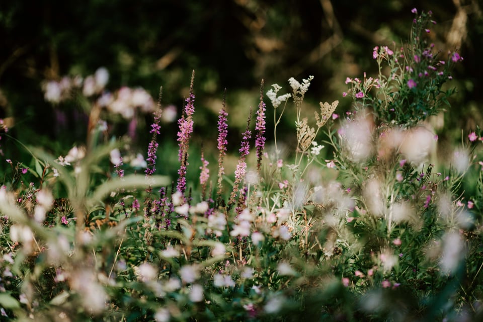 The Local’s List: Secret Gardens and Parks in NYC