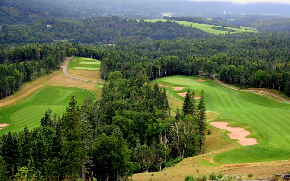 Humber Valley | Neighbourhood Guide | Ashley Eikerman