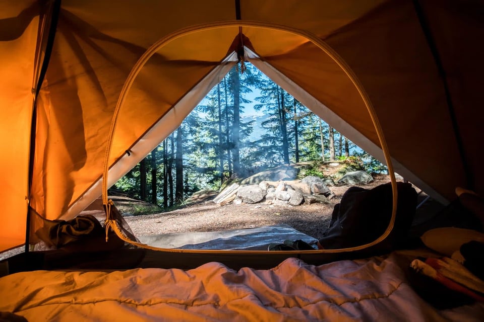 Summer Activities in Idyllwild: Escape the Heat | Blog