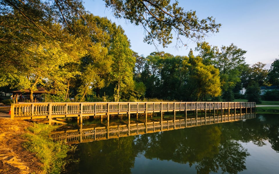 Davidson | Neighborhood Guide