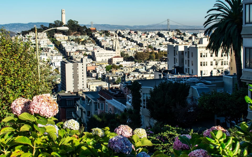 Russian Hill, CA Real Estate Guide | Susanne Alexander