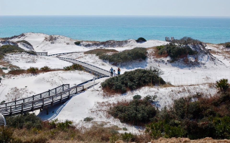 St. Joe Beach homes and coastal shoreline