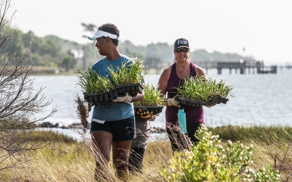 Topsail Island Adds Living Shorelines Protecting Your Real Estate ...