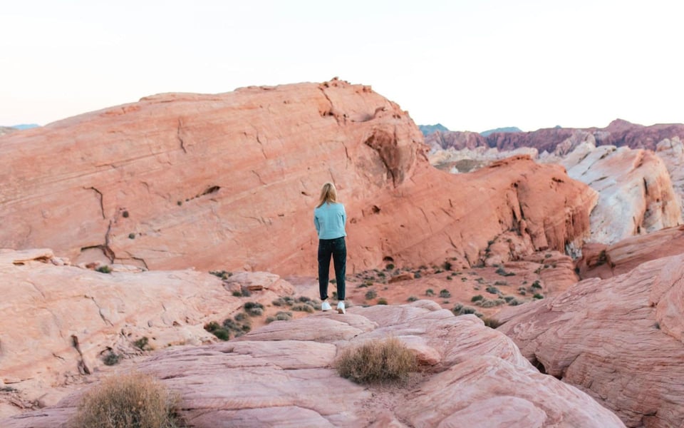A Local's Guide on Things to Do in Henderson | Blog | Greg Clemens