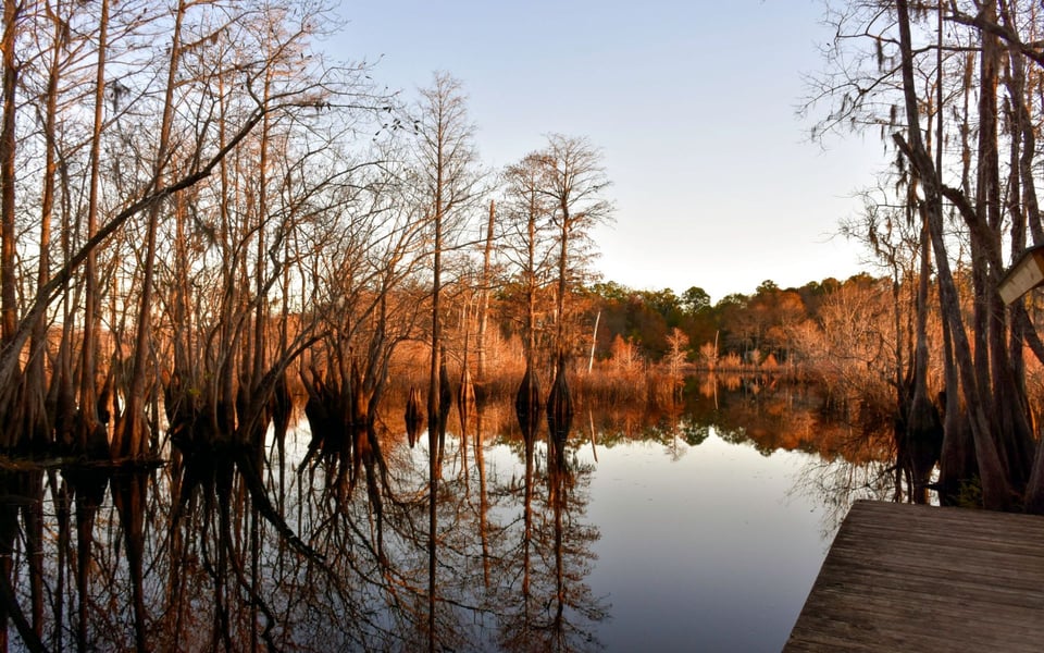 Wewahitchka freshwater landscape and natural surroundings