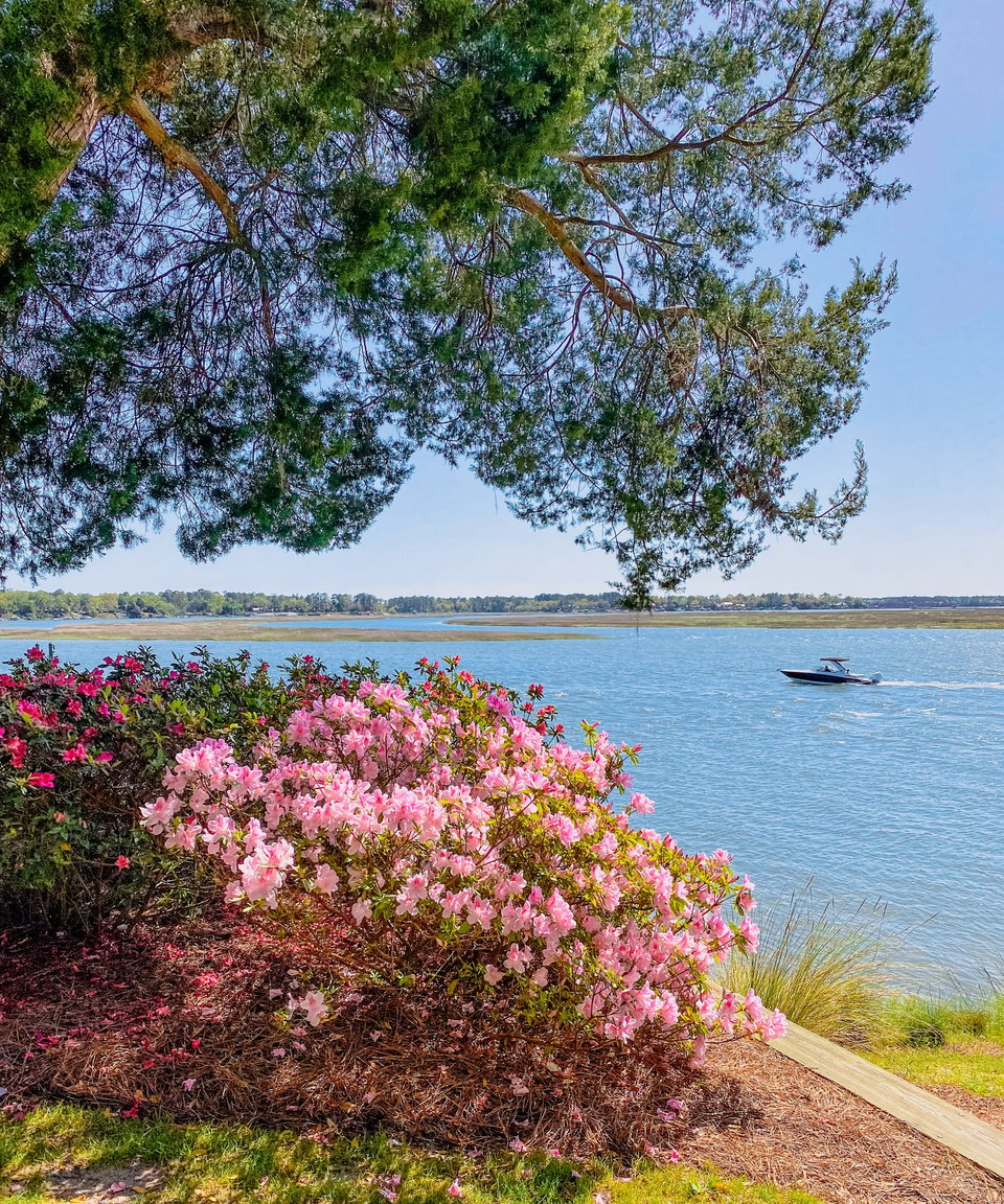 Ridgeland, SC | Area Guide | Anchor Home Group