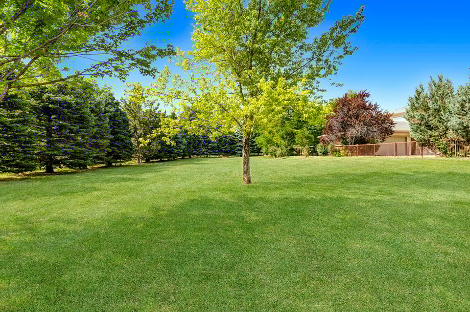1332 White Hawk Ranch Drive