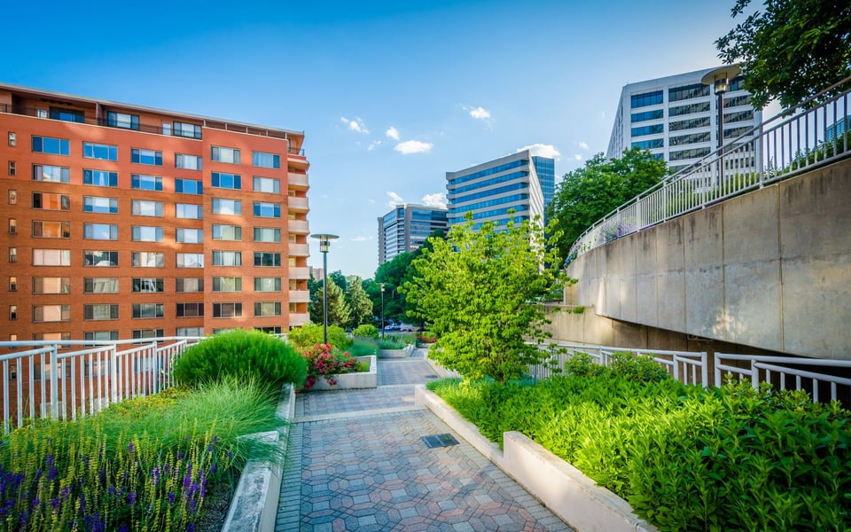 Arlington | Neighborhood Guide