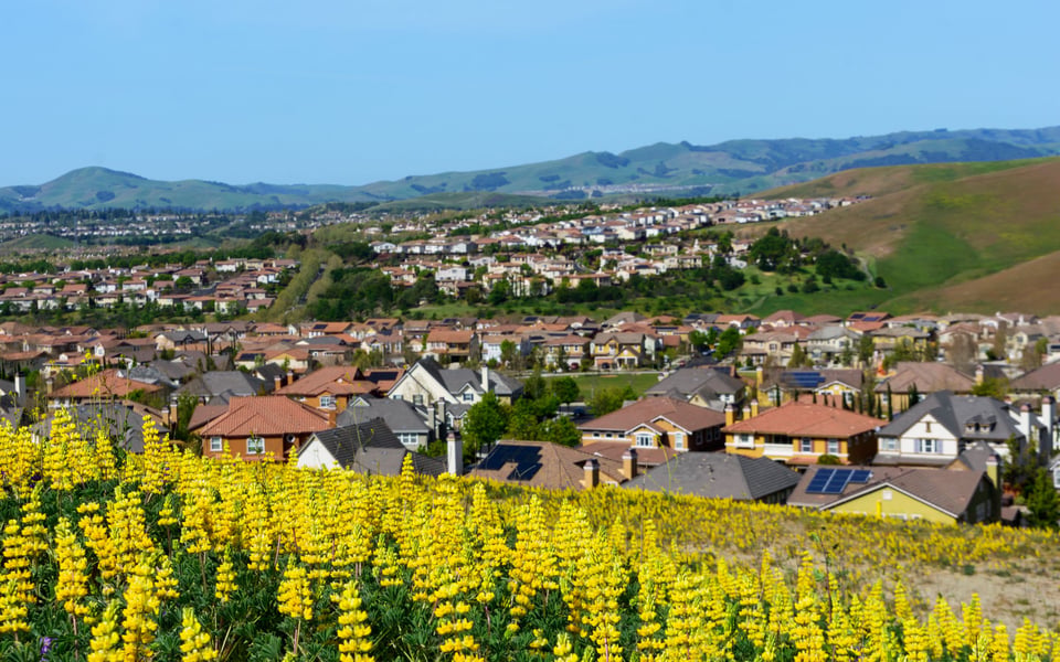 San Ramon | Neighborhood Guide | Dani O'Connell