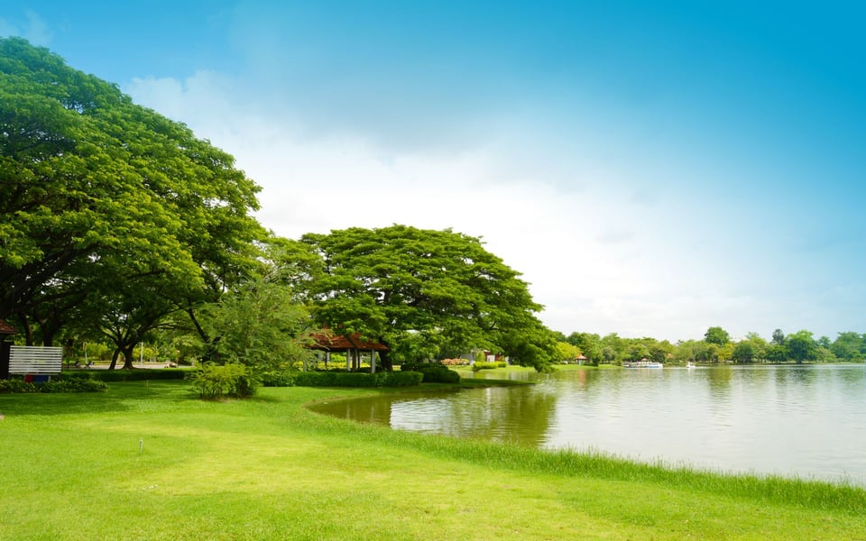 Spring Lake Heights NJ Homes for Sale | Neighborhood Guide
