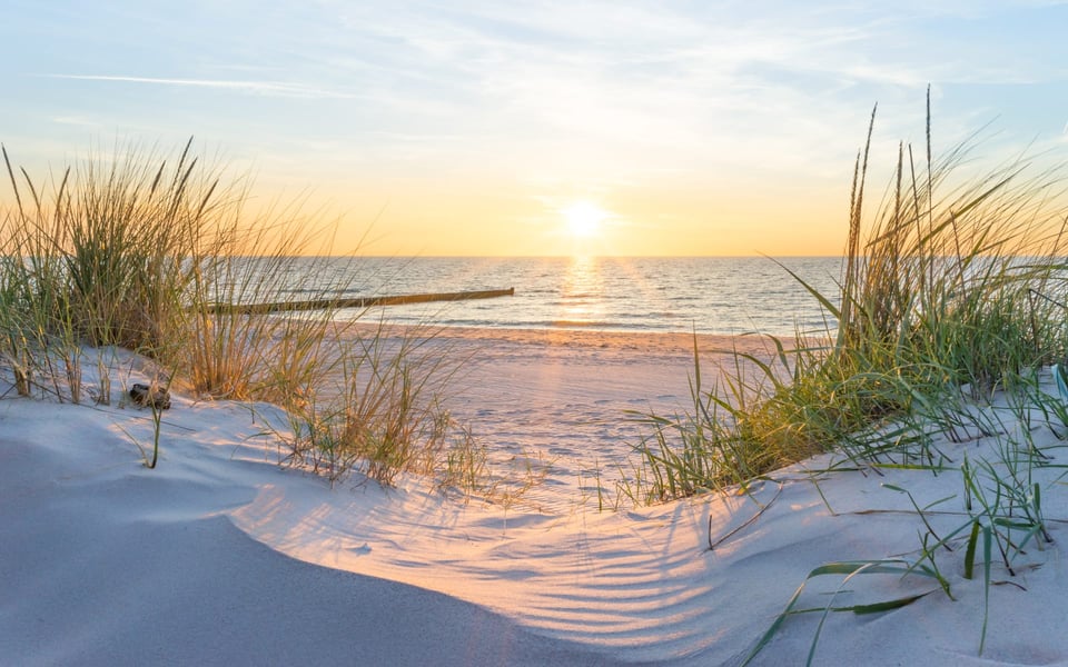 Del Ray | Area Guide