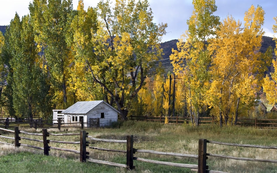 Basalt | Community Guide