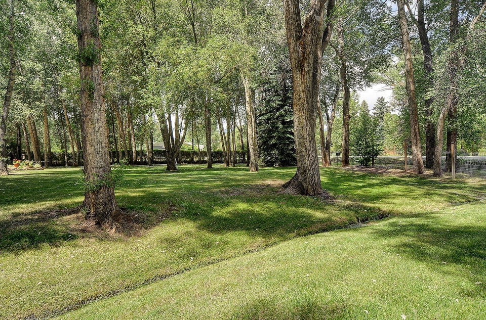 Explore Buena Vista Real Estate – Your Mountain Retreat Awaits