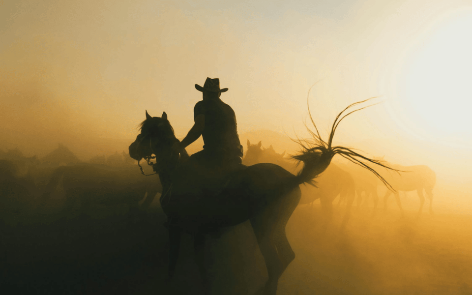 What You Need to Know About Selling Your Texas Ranch | Blog | Gaines Slade