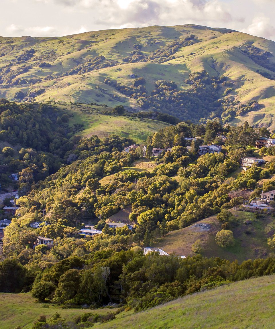 Neighborhood || Novato