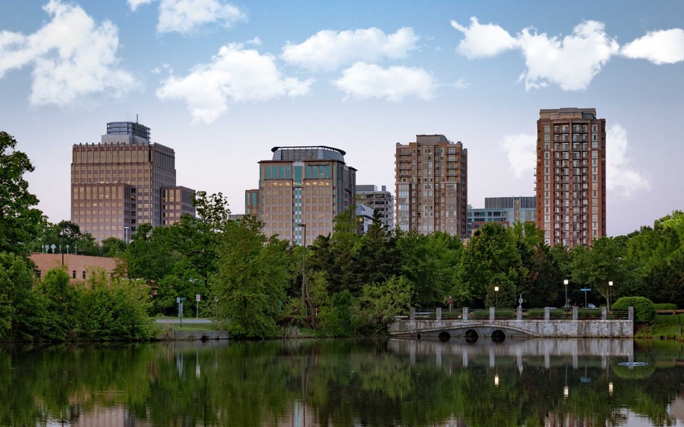 Reston | Neighborhood Guide