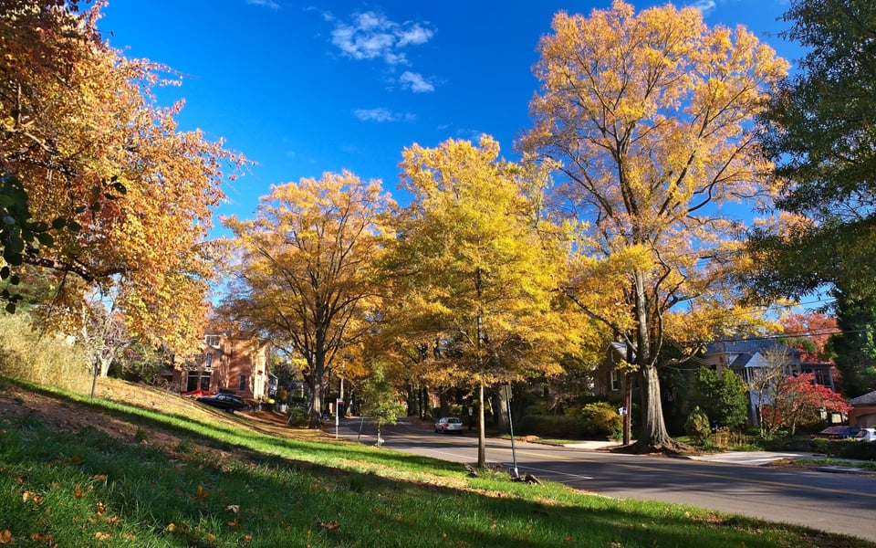 Palisades neighborhood in Washington DC
