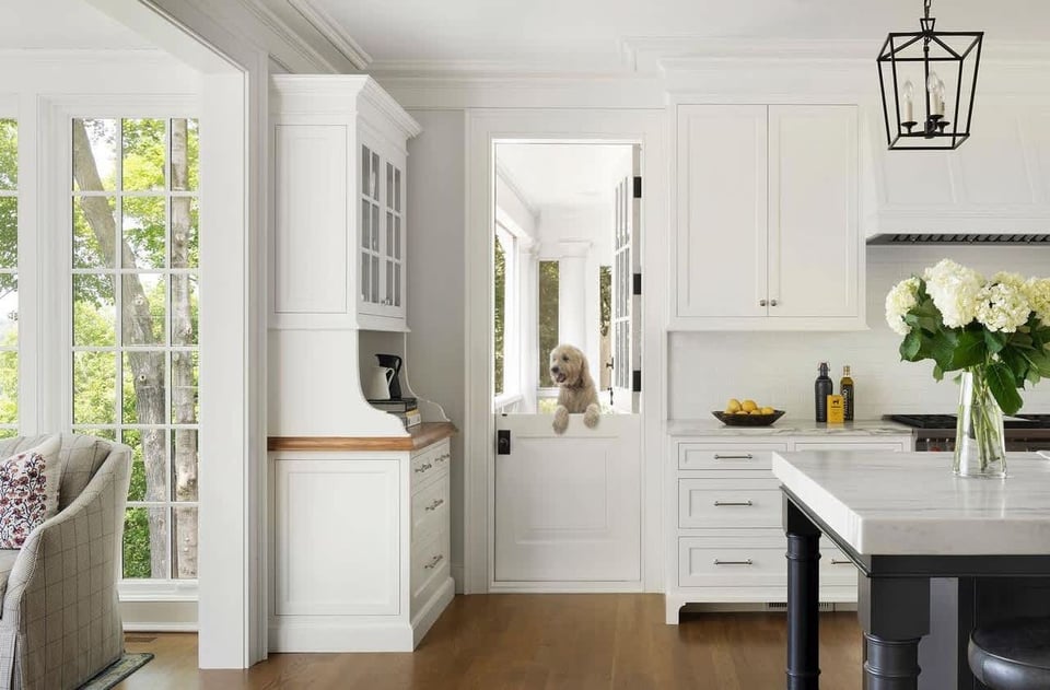 Picture of The Rise of Dog-Centric Luxury Home Buying | Janet McAfee Real Estate
