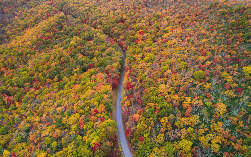 Top Attractions in Blue Ridge GA: What Should You See?