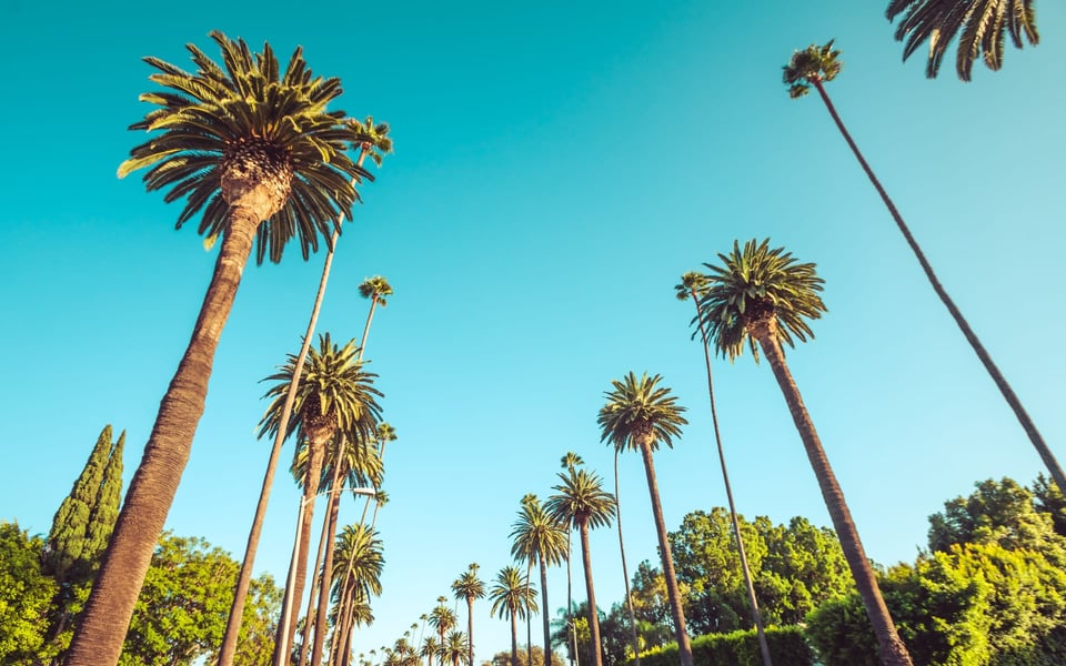Hancock Park | Neighborhood Guide | Jacobellis Group