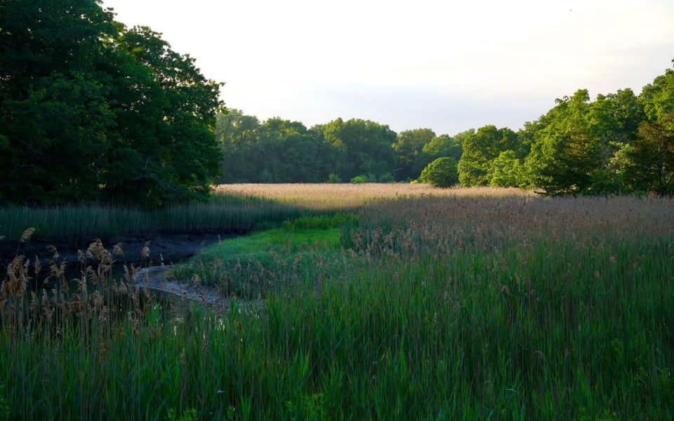 Things to Do in Rye Brook New York: Top 5 Experiences