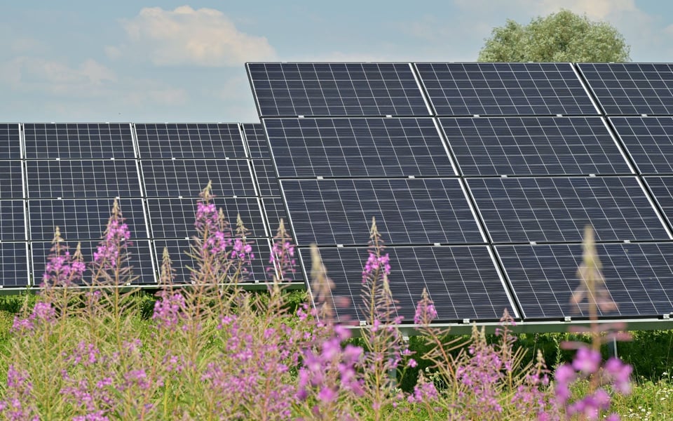 What You Can Gain by Cleaning Your Solar Panels | Blog