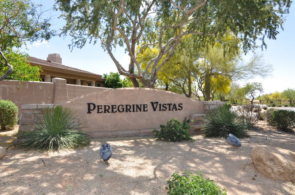 Peregrine Vistas community in Grayhawk Scottsdale