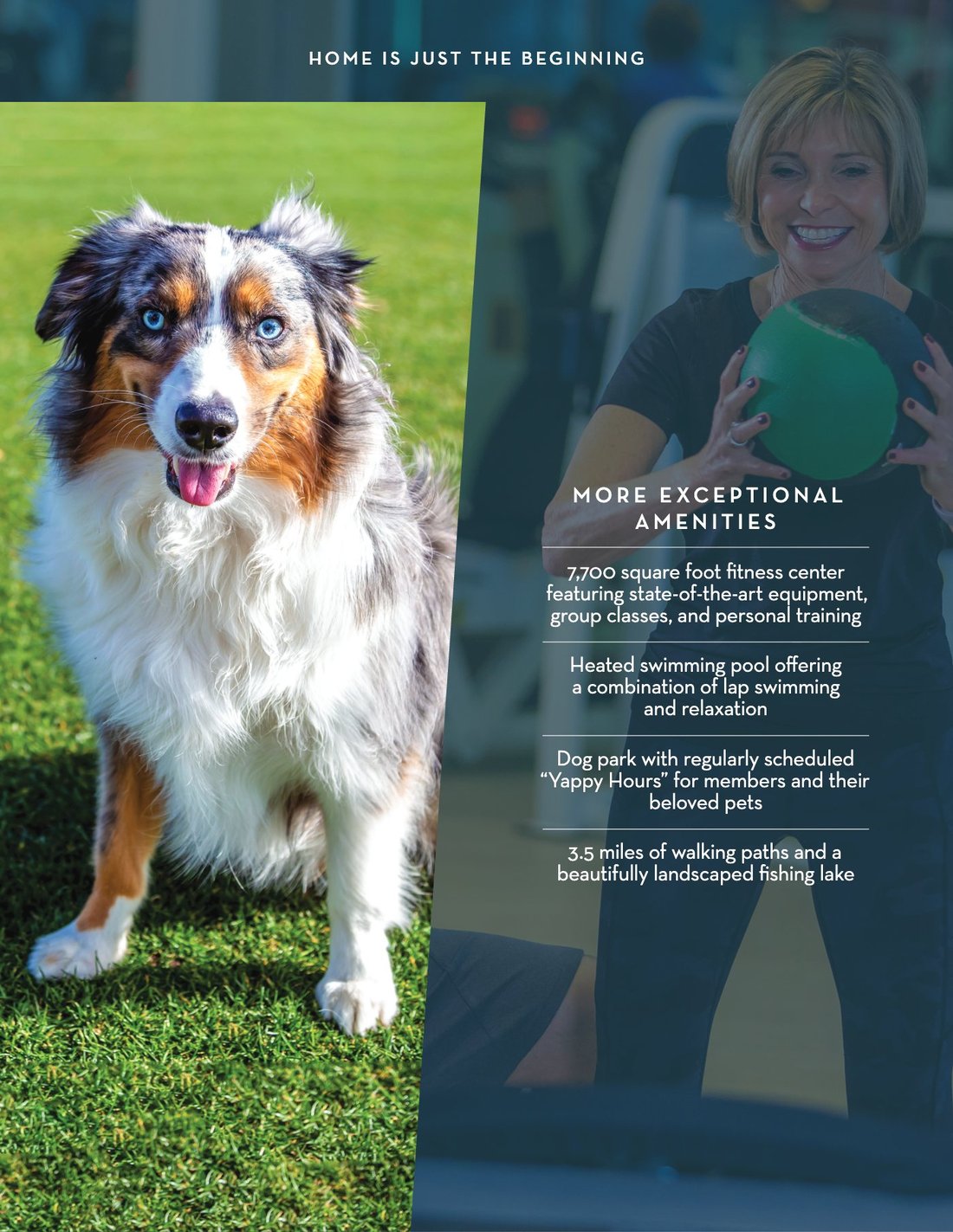 Brochure page 5