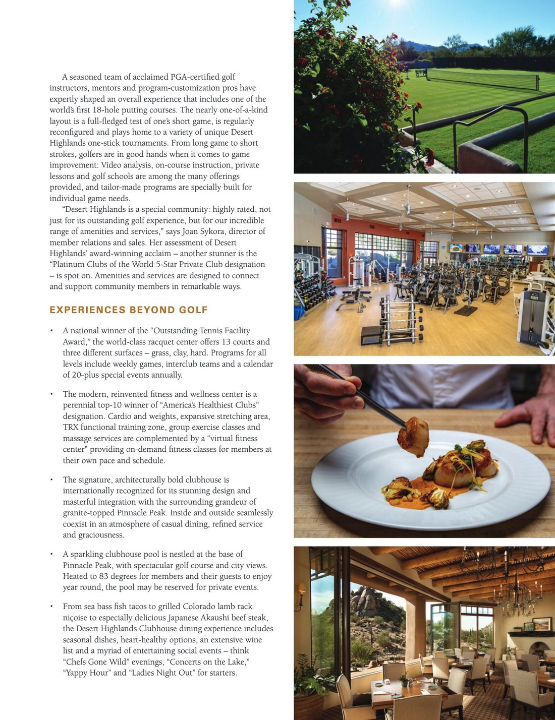 Brochure page 13