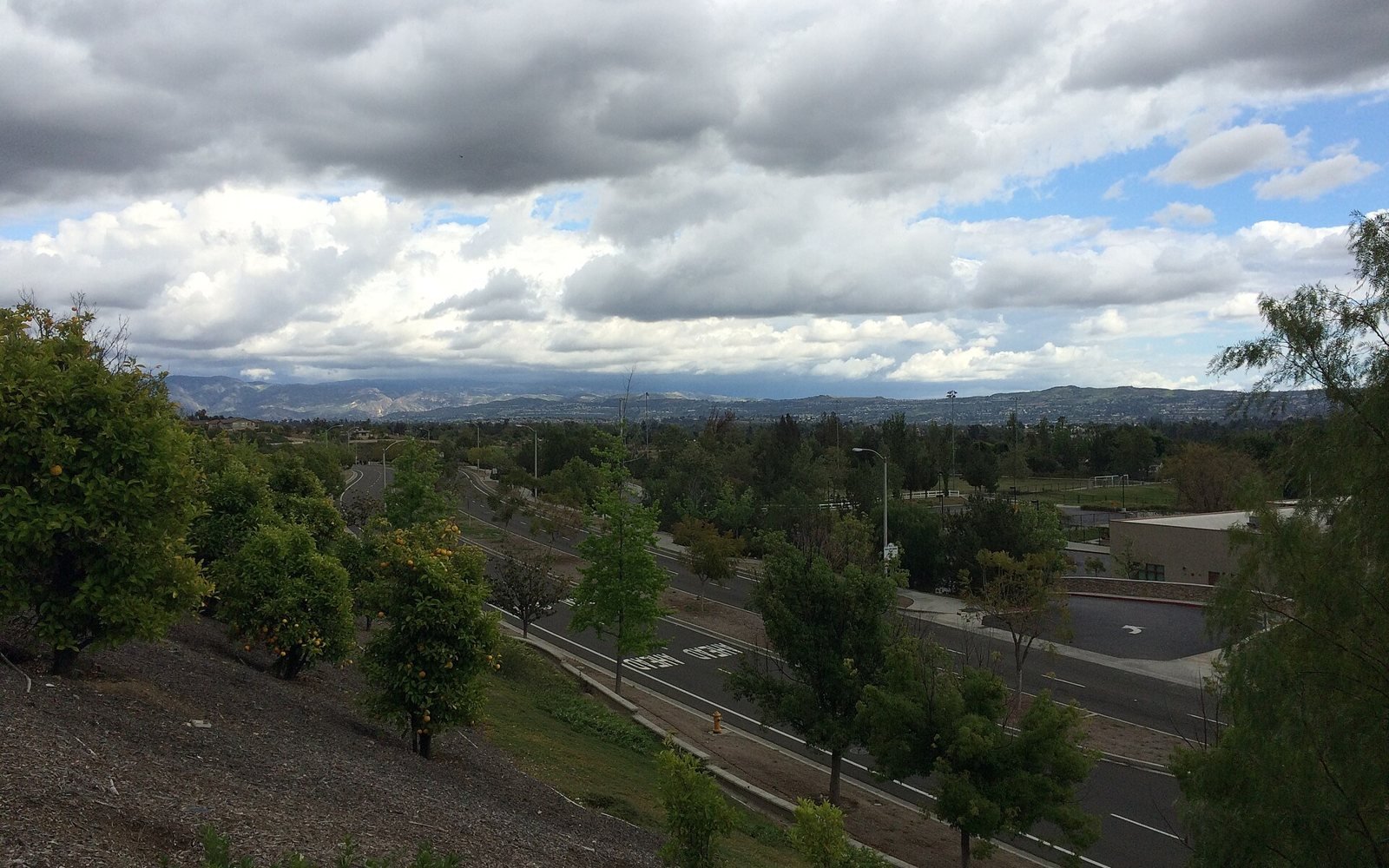 Yorba Linda streets and landscaping, photographed April 2016