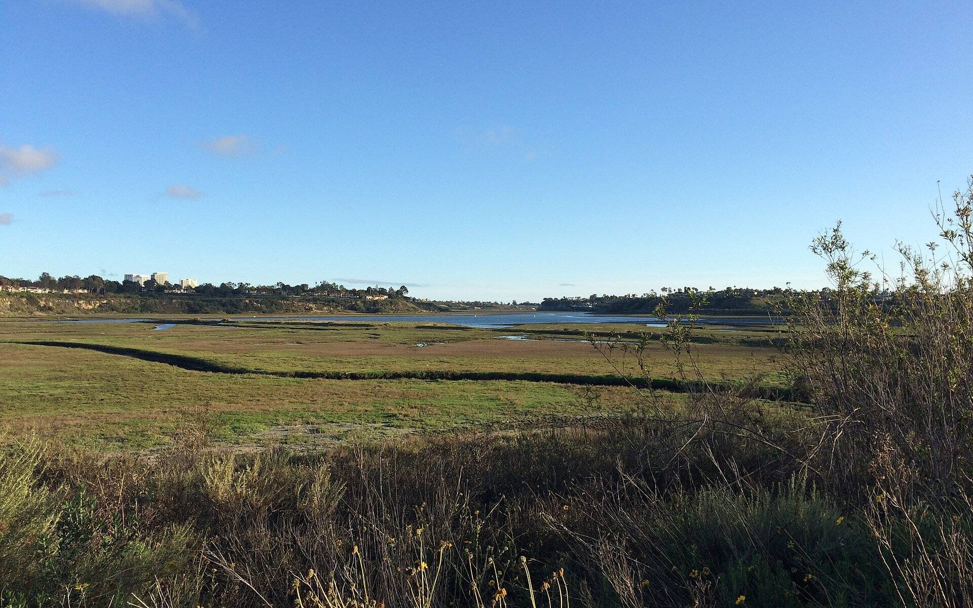Tidal wetland, grasses and bluffs at Upper Newport Bay in Newport Beach