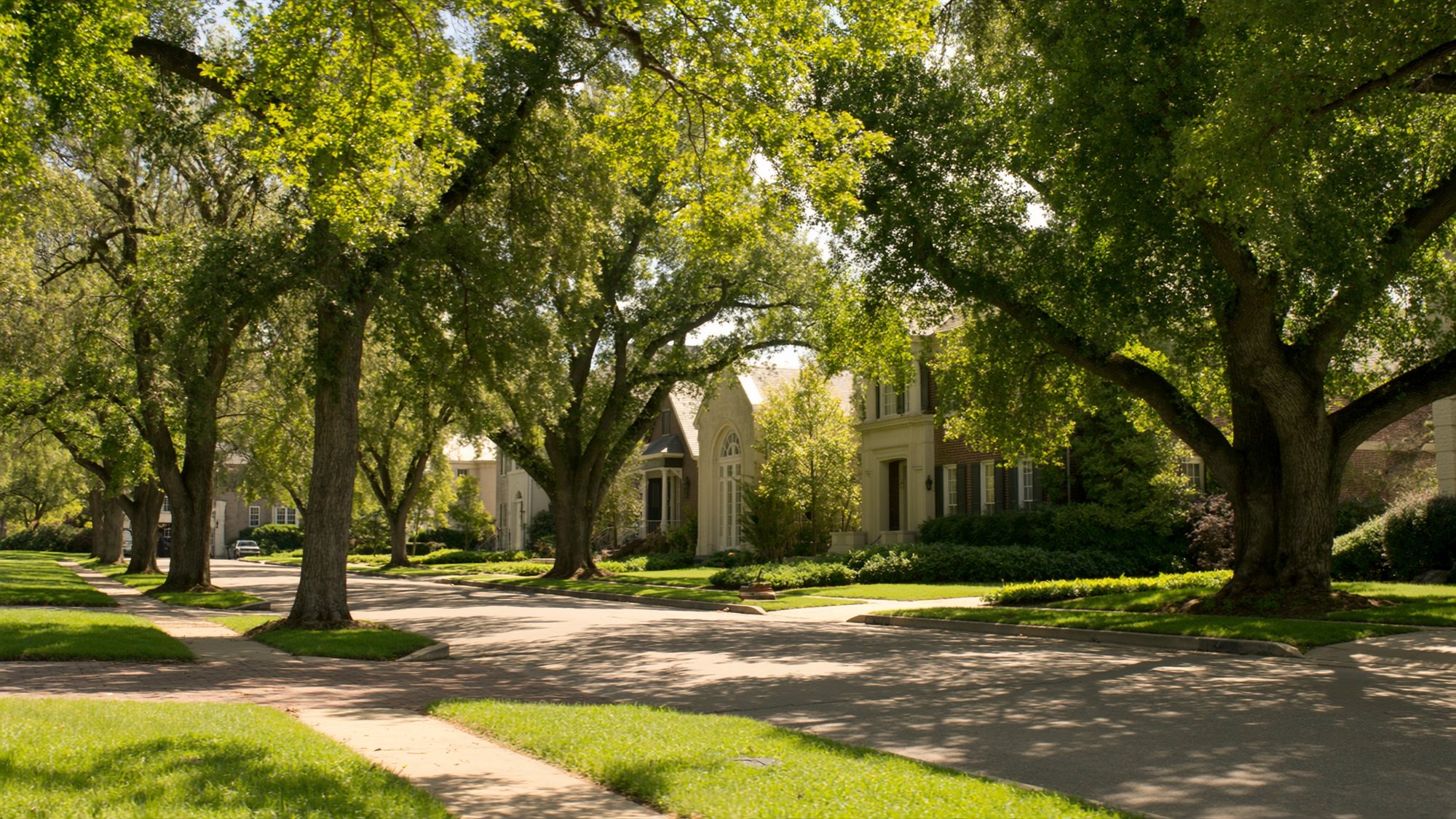 A sunlit tree-lined street of traditional brick and limestone homes in an established Dallas neighborhood