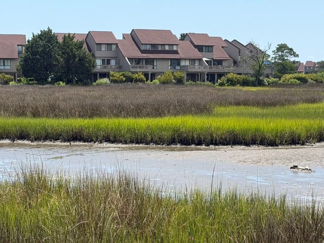 Heron Marsh - LBTS