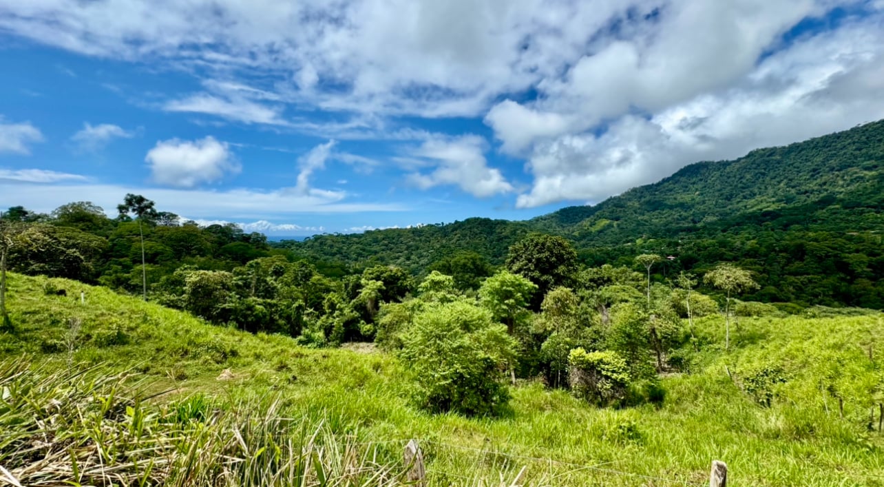 Spring and Waterfall!  3,2 Acres lot in Uvita Mountains 