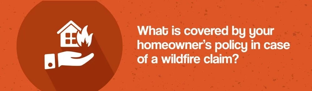 Understanding Your Homeowner's Insurance Policy in Case of a Wildfire