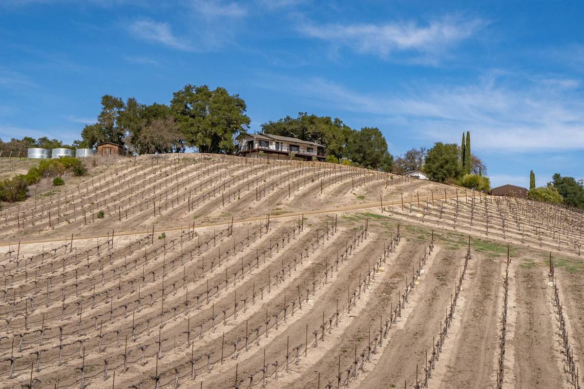 Ever wanted to own a Paso Robles vineyard estate? Now you can — for just $3 million  Read more at: https://www.sanluisobispo.com/living/food-drink/wine-beer/article289494672.html#storylink=cpy