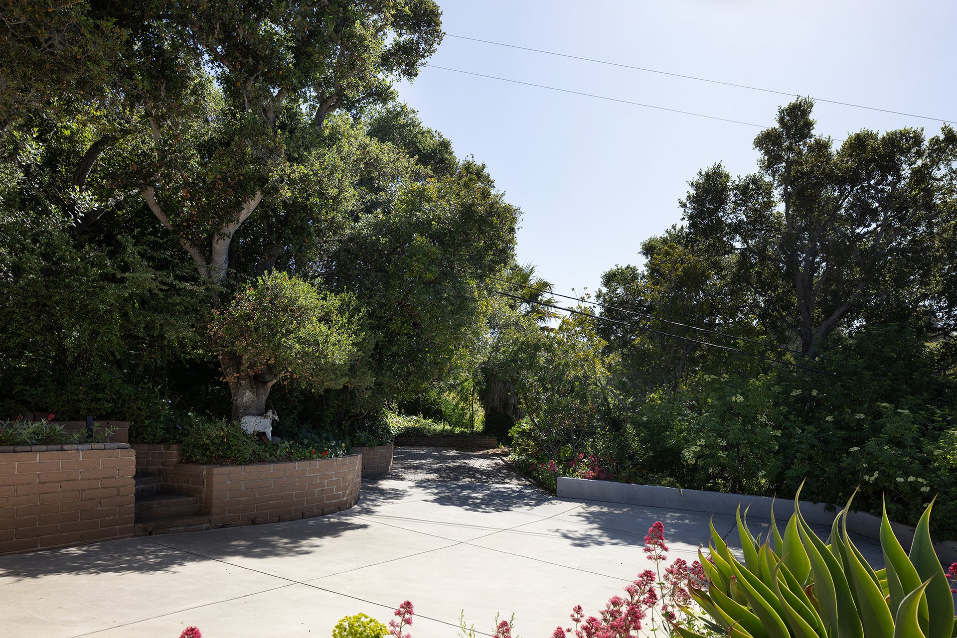 Carmel Vistas