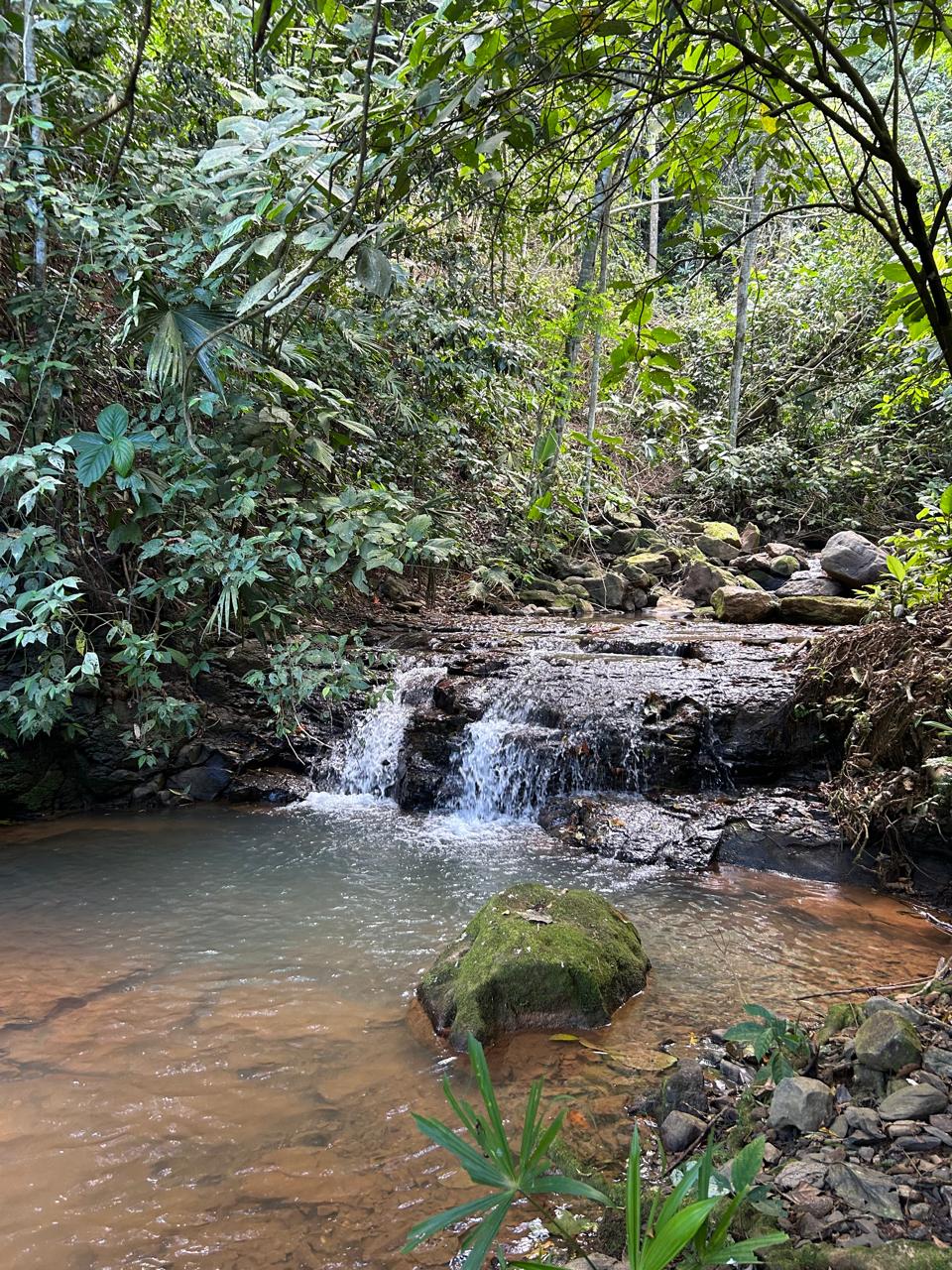 10-Acre Waterfall Farm with Amazing Valley and River View in San Isidro.