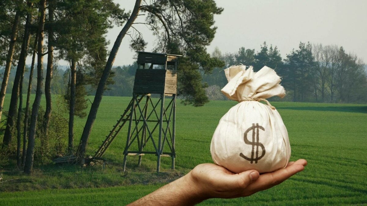 So You Want Acreage in Loomis? Here's What Nobody Tells You About the Costs