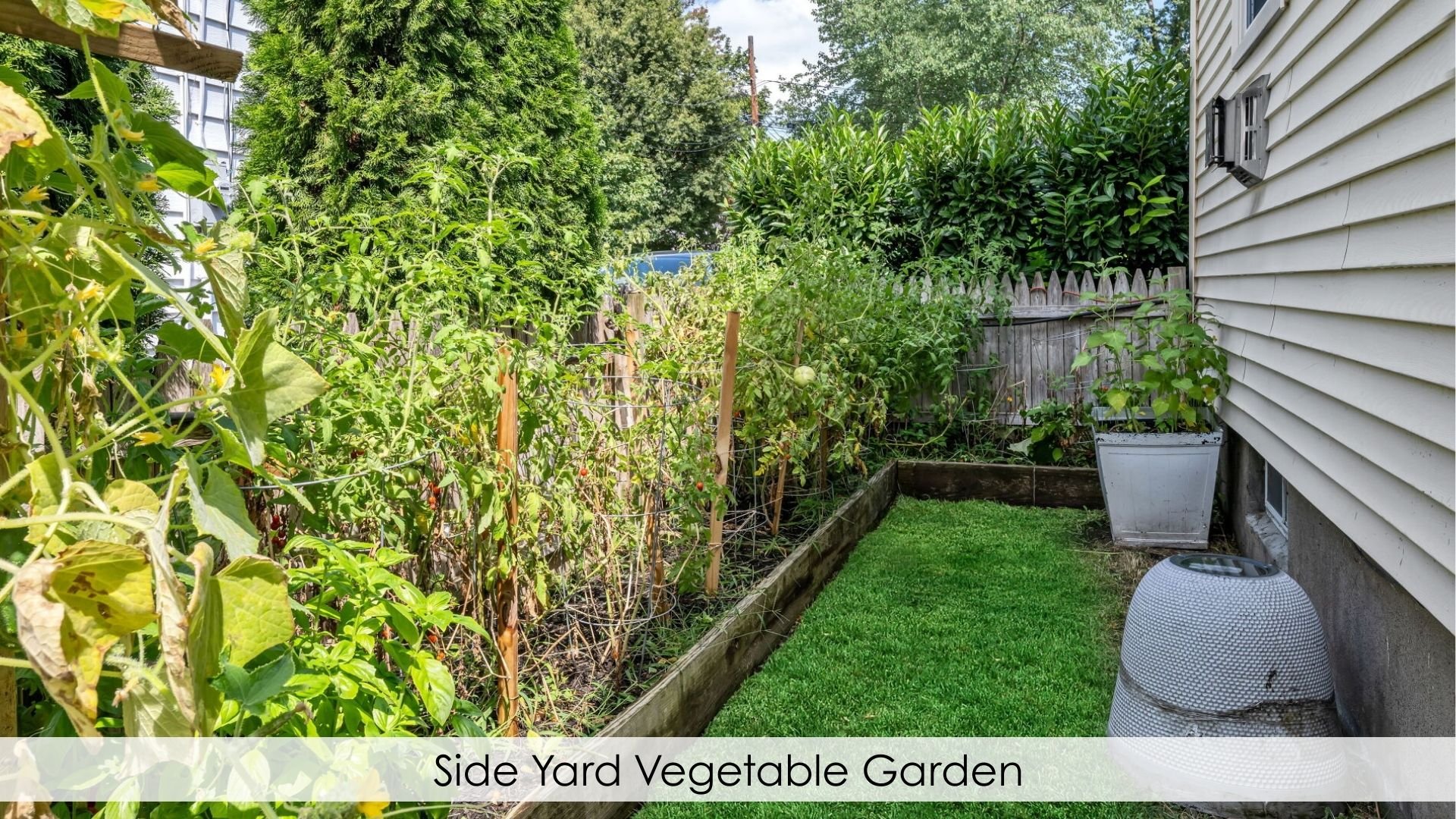 374 Litchfield Street
