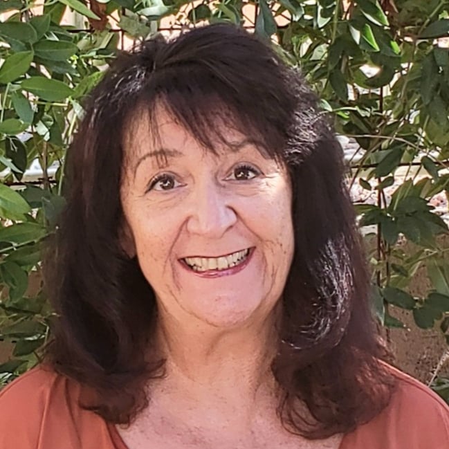 Cindy Carfaro Bella Vista, AR Real Estate Agent Headshot