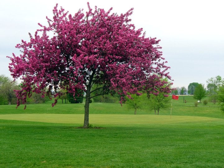 Country Hills Golf Course