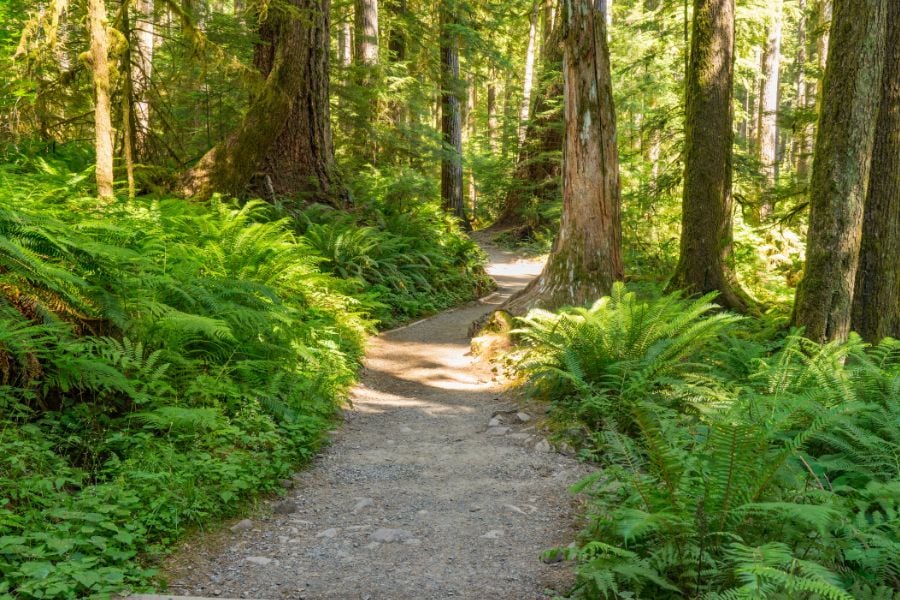 Anacortes Parks