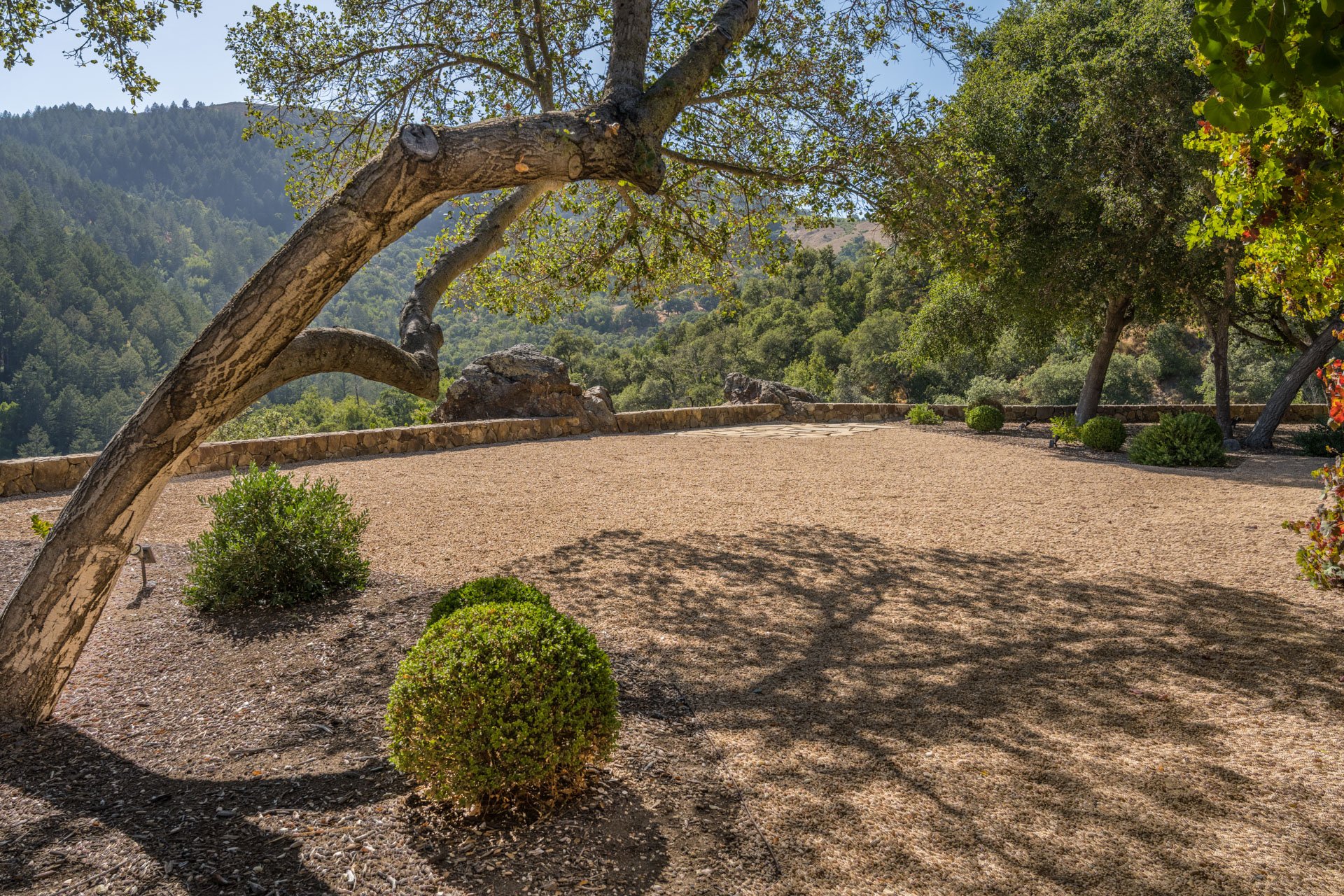 Oakville Vineyard Estate