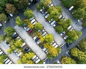 What Your Neighborhood’s Parking Situation Says About Daily Life