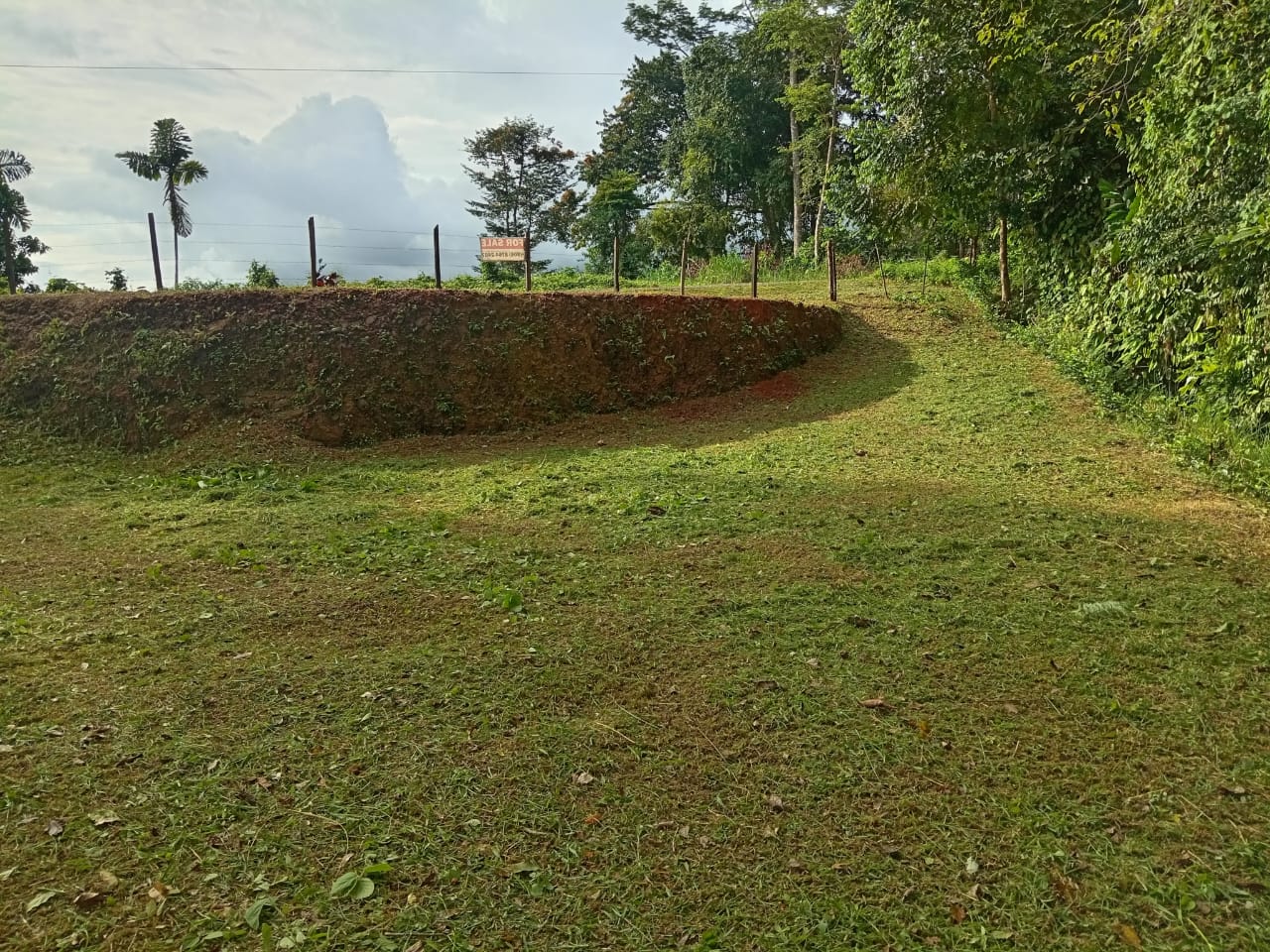 0.46 ACRES – Ocean View Land With Ready To Build Site, 2 Minutes Away From El Pavon Waterfall, Utilities On Site & Virgin Forest!!!