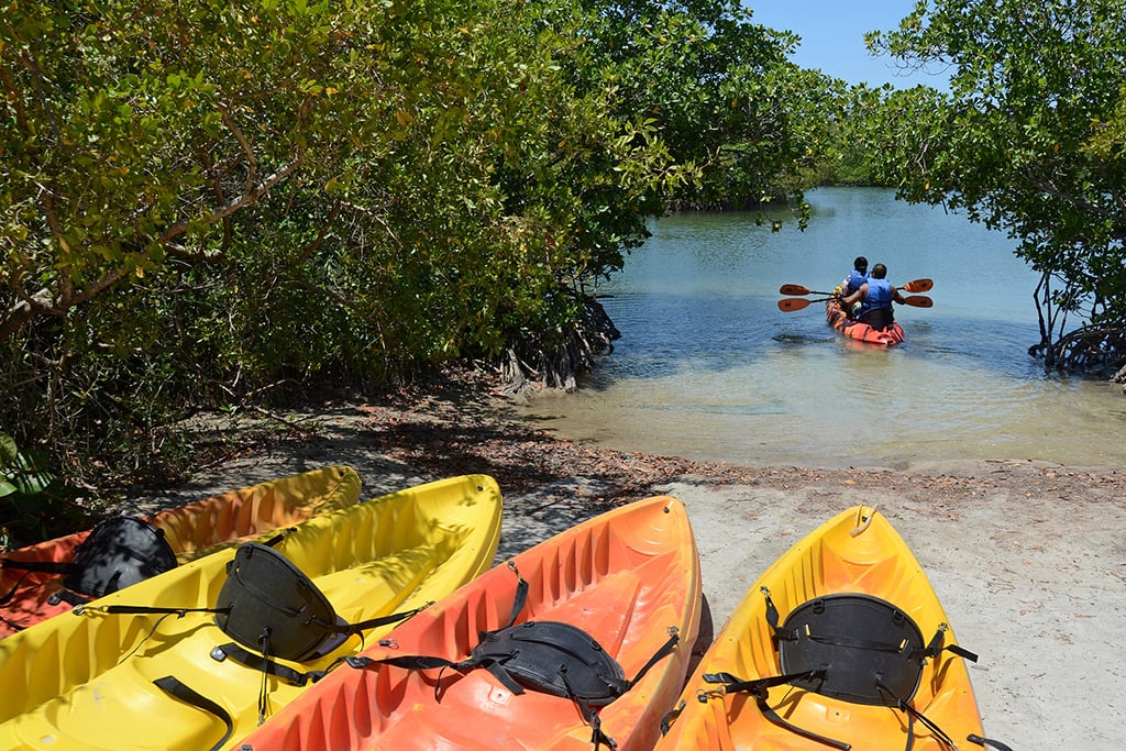 Discover Miami Like a Local: My Favorite Spots for Friends and Family